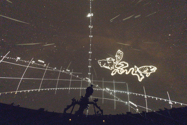 Звездный зал планетария в Санкт-Петербурге