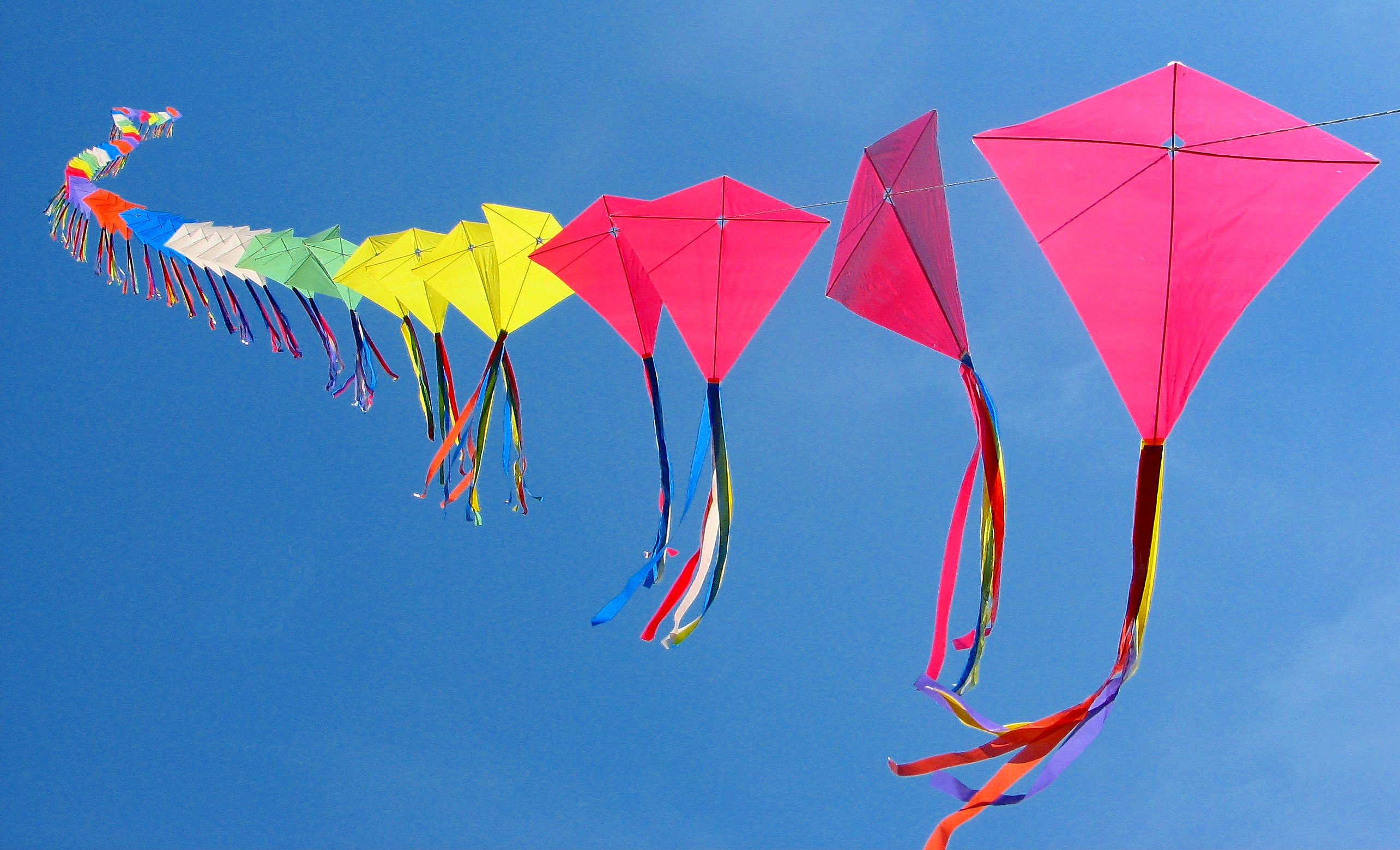 Воздушные змеи. Makar Sankranti. Воздушный змей. Летающий змей. Красивый воздушный змей.